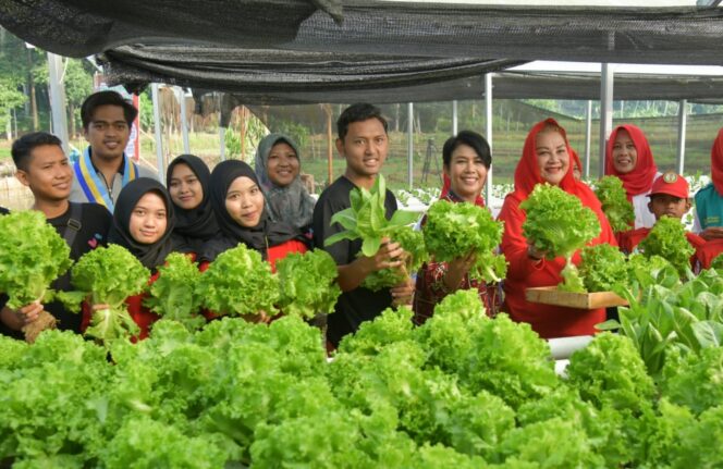 
					Mbak Ita ikut memanen sayur di Sandi Buana Farm, Mangunsari, Gunungpati, Kota Semarang, Kamis (30/5/2024). (Ist)