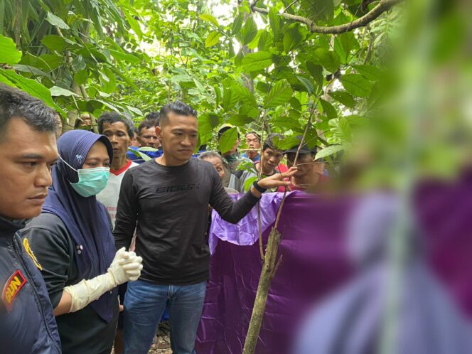 
					Pria Tewas Gantung Diri di Perkebunan Gegerkan Warga