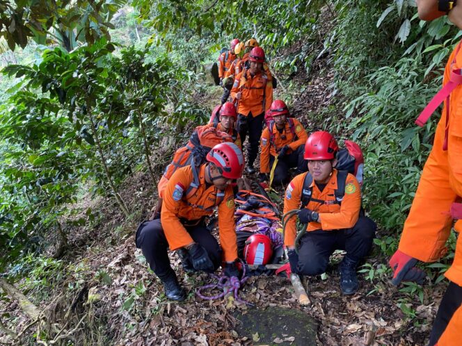 
					Basarnas Semarang Gelar Latihan SAR di Gunung dan Hutan