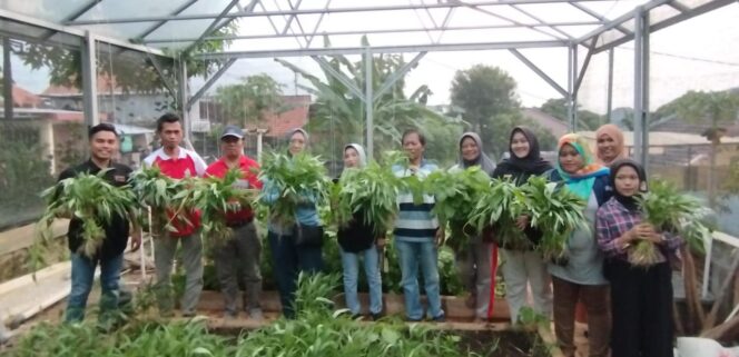 
					Pemkot Semarang Dorong Pemanfaatan Lahan Tidur untuk Urban Farming