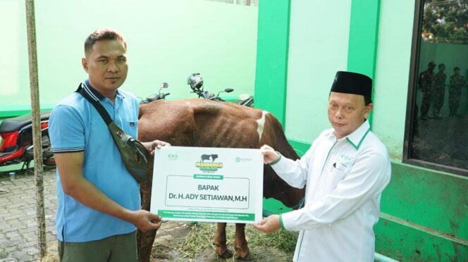 
					Perwakilan Calon Wakil Wali Kota Semarang Mas Wawan menyerahkan satu ekor sapi kepada Ketua LAZISNU PWNU Jawa Tengah, Muhammad Mahsun, dalam acara seremonial penyembelihan hewan kurban di halaman PWNU Jawa Tengah. (Ist)