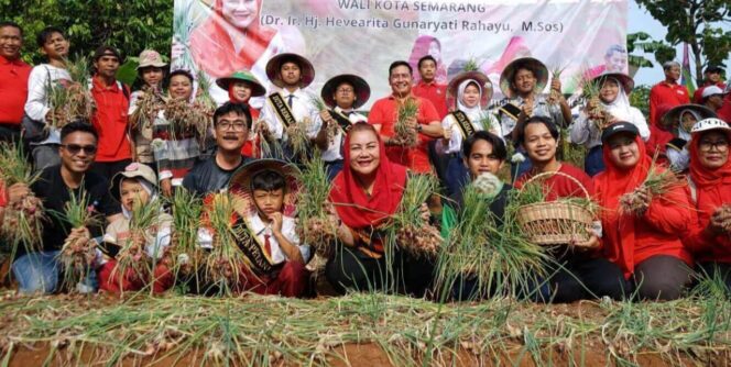 
					Wali Kota Semarang, Hevearita Gunaryanti Rahayu, memanen bawang merah di Agro Plalangan, Kecamatan Gunungpati, Selasa (2/7/2024). (Ist)