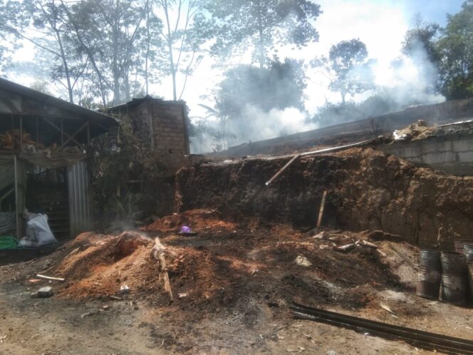 
					Kebakaran Kandang Ayam di Sumowono, Kerugian Capai Ratusan Juta