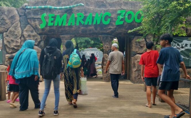 
					Awal Tahun 2025, Semarang Zoo Catat Lonjakan Pengunjung hingga 7.863 Orang