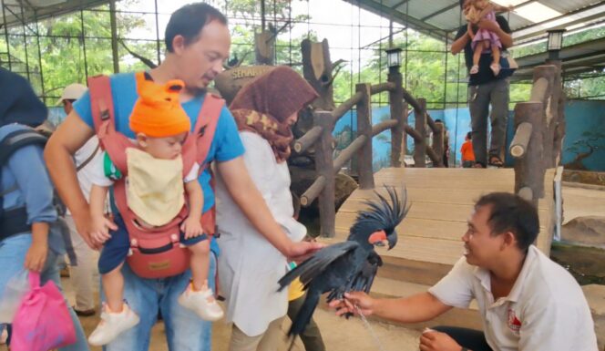 
					Semarang Zoo, Potensi Wisata yang Perlu Lebih Diperhatikan