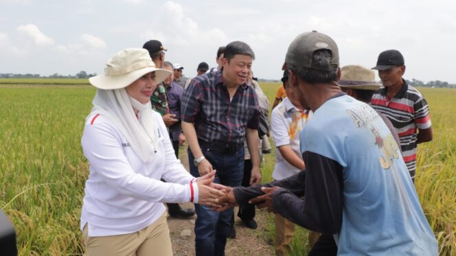 
					Wakil Ketua Komisi IV DPR RI Kunjungi Brebes untuk Dukung Sektor Pertanian dan Pengolahan Pangan
