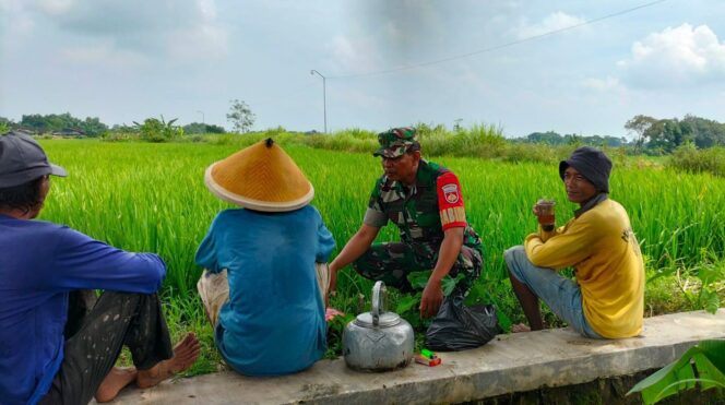 
					Babinsa Teras Jalin Keakraban dengan Petani di Desa Kopen