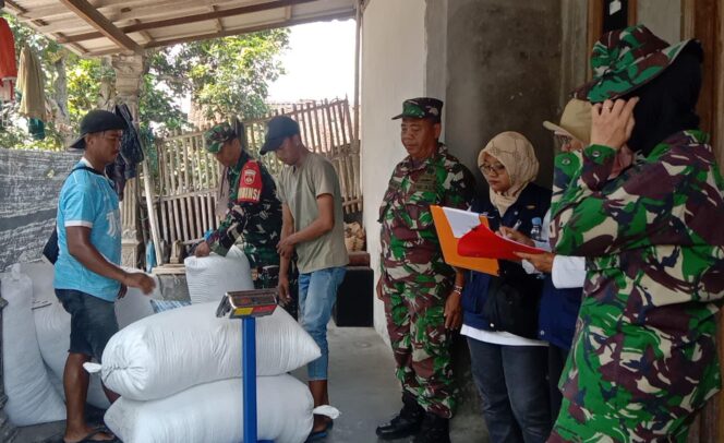 
					Koramil Teras Dampingi Bulog dalam Penyerapan Gabah Petani Desa Nepen