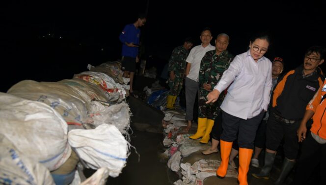 
					Wali Kota Semarang Turun Lapangan Cek Pagar Laut yang Jebol di Pelabuhan Tanjung Emas