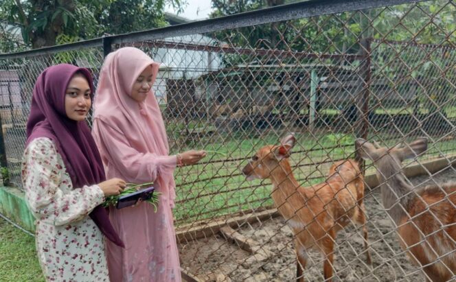 
					Koleksi Baru Semarang Zoo: Kapibara, Sitatunga, dan Domba Siap Menyapa Pengunjung