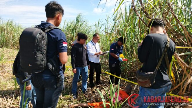 
					Rekonstruksi Pembunuhan di Kebun Tebu Dukuhtengah, Tersangka Peragakan 6 Adegan Krusial