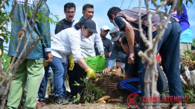 
					Agustina Dorong Ketahanan Pangan Lewat Pemanfaatan Lahan Kosong untuk Tanam Singkong dan Ubi