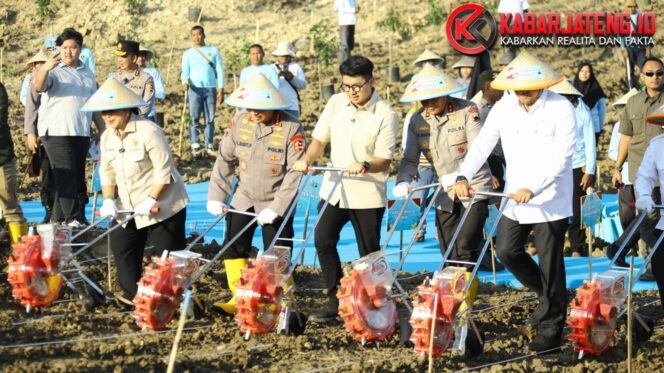
					Kapolri Pimpin Penanaman Jagung Serentak di Grobogan, Dukung Target Swasembada Pangan Nasional 2025