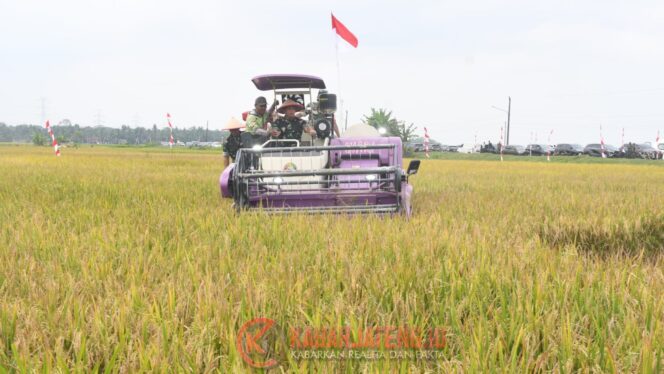
					Pangdam IV/Diponegoro Hadiri Panen Raya Padi di Kebumen, Dorong Penguatan Ketahanan Pangan