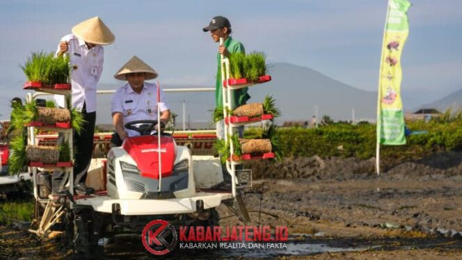 
					Pemprov Jateng Pulihkan 512 Hektare Sawah di Demak, Petani Kembali Bisa Tanam Padi