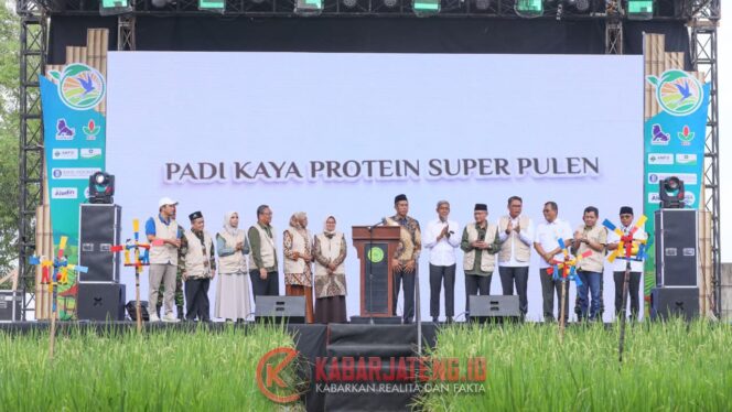
					Sekda Jateng Tegaskan Pentingnya Perlindungan Sawah Demi Ketahanan Pangan Nasional