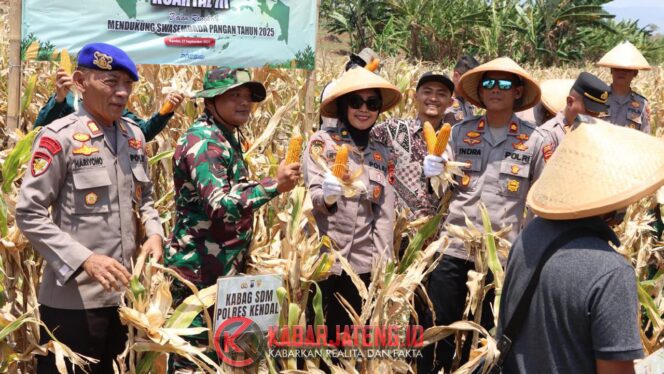 
					Polres Kendal Gelar Panen Raya Jagung Kuartal III 2025