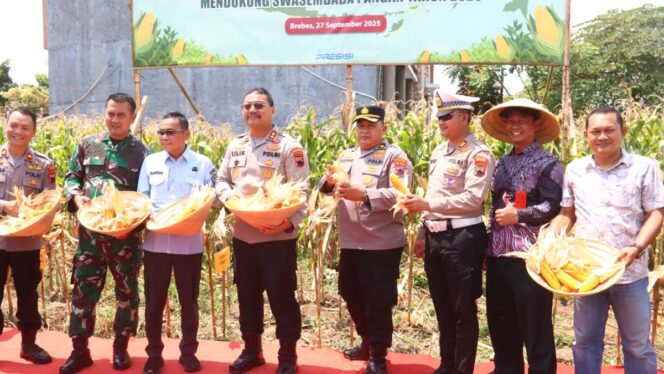 
					Polres Brebes Gelar Panen Raya Jagung Serentak Kuartal III, Kapolres: Hasil Panen Harus Terus Meningkat