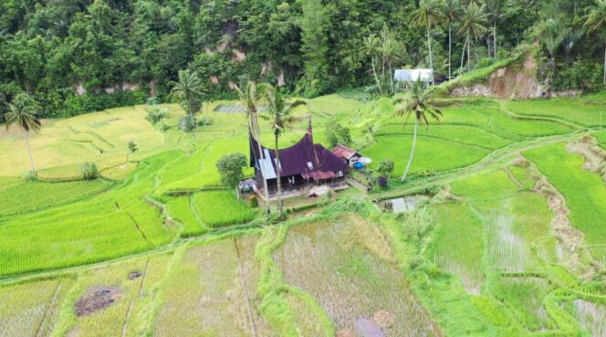 
					Sertipikasi Tanah Ulayat di Sumatera Barat, Upaya Menjaga Pusaka Tinggi Masyarakat Adat Minangkabau