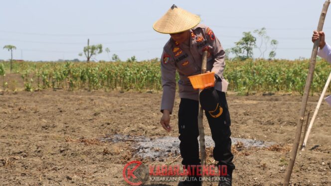 
					Polres Demak Dorong Swasembada Pangan Nasional Lewat Penanaman Jagung dan Layanan Sosial