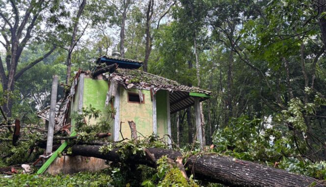 
					Hujan Disertai Angin Puting Beliung Terjang Tengaran, Pohon dan Rumah Warga Rusak