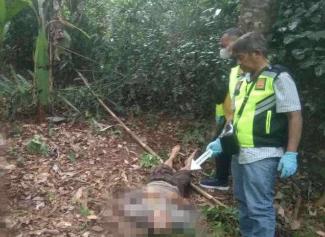 
					Diduga Terjatuh Saat Memanen Jengkol, Warga Tuntang Meninggal di Kebun Gondoriyo