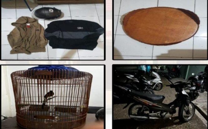 
					Pencurian Murai Batu di Karangmalang Terungkap, Dua Terduga Pelaku Diamankan Polisi