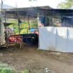 Tempat yang diduga digunakan sebagai arena judi sabung ayam 