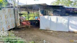 Tempat yang diduga digunakan sebagai arena judi sabung ayam 