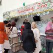 Sejumlah wisatawan berkunjung ke kebun binatang Semarang Zoo. (Ist)