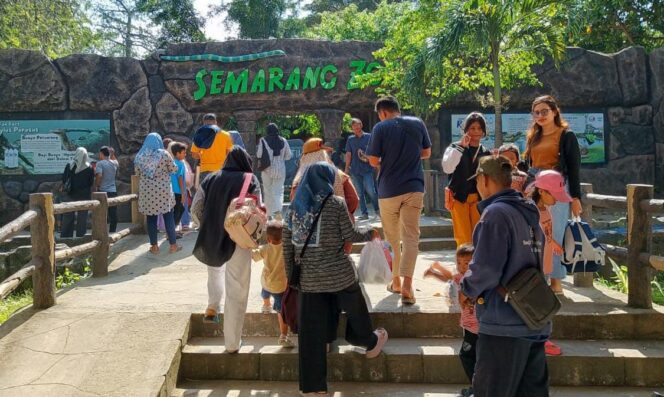 
					Semarang Zoo Utamakan Proyeksi Pendapatan Selama Libur Nataru