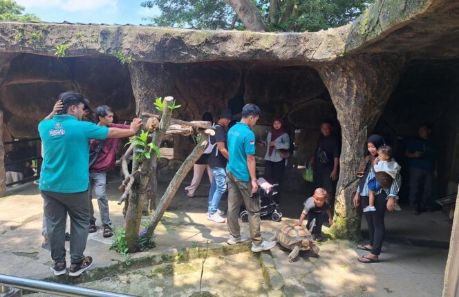 
					Semarang Zoo Sajikan Rangkaian Event Tahun Baru 2026, dari Zoonderland hingga Forest Track