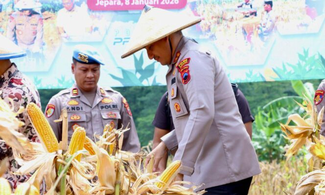 
					Polres Jepara Panen Raya Jagung Kuartal I 2026, Perkuat Ketahanan Pangan Daerah