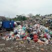 Sejumlah warga sedang memilah sampah di TPS Muktiharjo Kidul. (Foto: Kabarjateng.id)