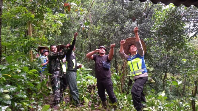 
					Hujan Disertai Angin Kencang, Polisi dan Warga Evakuasi Pohon Tumbang di Batealit Jepara 