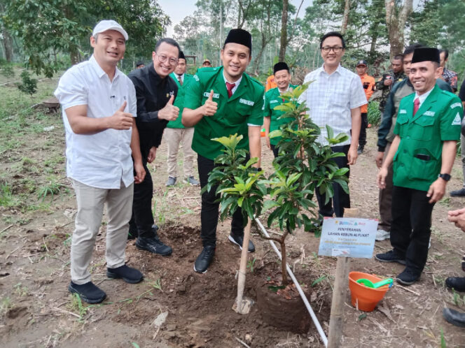 
					Kolaborasi Ansor–PLN Hijaukan Lereng Merapi, Alpukat Jadi Harapan Ekonomi Warga Boyolali