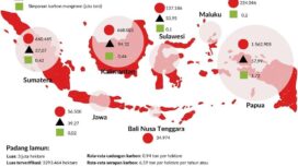 Peta kawasan potensi Rencana Zonasi Kawasan Strategis Nasional Tertentu (RZKSNT) Cadangan Karbon Biru (CKB) | sumber: BRGM