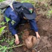 Kegiatan penanaman 1.000 Pohon di Gunung Lawu. Foto: Dok Media HW UMS