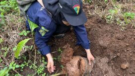 Kegiatan penanaman 1.000 Pohon di Gunung Lawu. Foto: Dok Media HW UMS