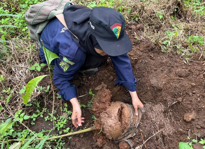 
					Kegiatan penanaman 1.000 Pohon di Gunung Lawu. Foto: Dok Media HW UMS