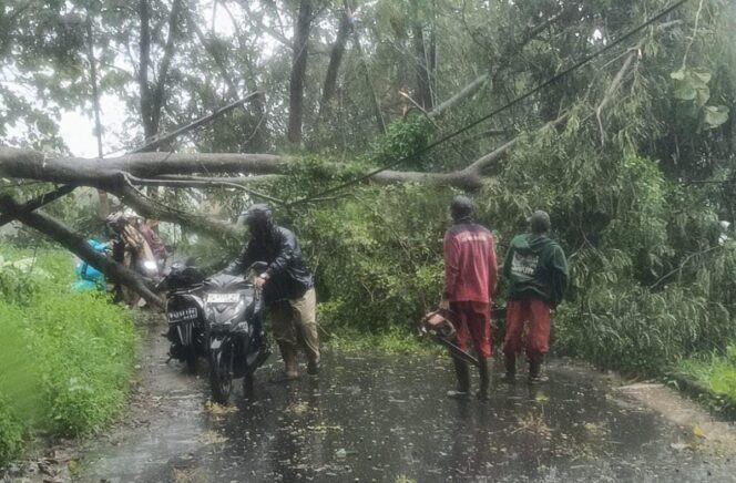 
					Pemkot Semarang Imbau Warga Waspada Potensi Bencana Hidrometeorologi