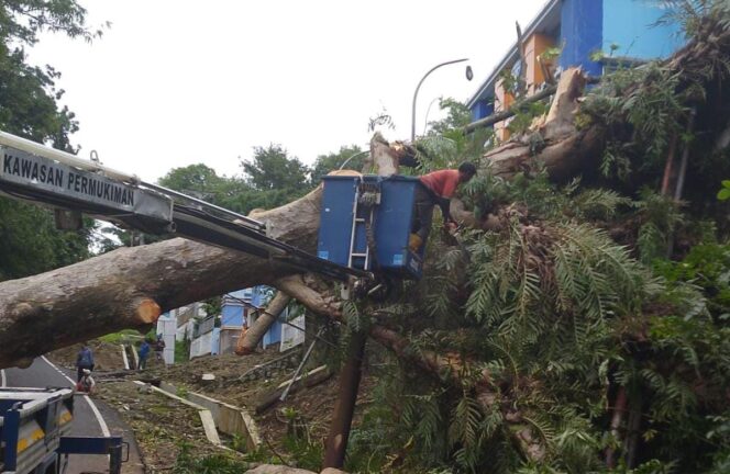 
					Hujan Angin Terjang Semarang, 88 Kejadian Bencana Tercatat dan Satu Warga Meninggal Dunia