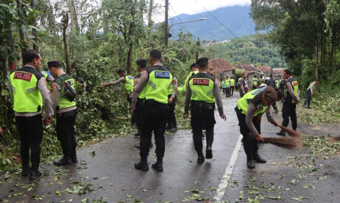 
					Hujan dan Angin Kencang Robohkan 2 Pohon, Timpa Kabel Listrik dan Tutup Jalan Kalirejo–Kalongan