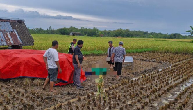 
					Petani Asal Baturetno Meninggal Saat Panen di Pracimantoro, Polisi dan Medis Pastikan Tak Ada Unsur Kekerasan