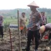 Penanaman benih jagung kuartal I Tahun 2026 Polres Demak | dok Polres Demak.
