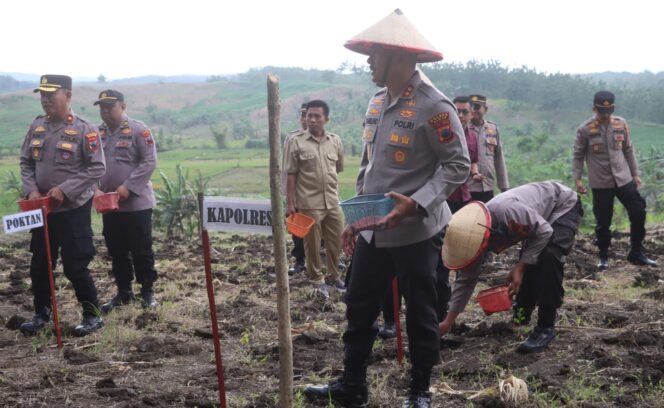 
					Penanaman benih jagung kuartal I Tahun 2026 Polres Demak | dok Polres Demak.