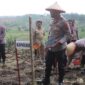 Polres Demak gelar tanam jagung serentak Kuartal I Tahun 2026 di Dukuh Bengkak, Desa Wonosekar, Kecamatan Karangawen, Kabupaten Demak.