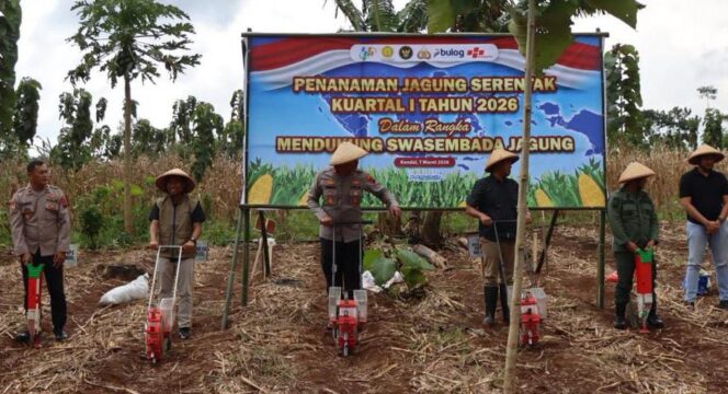 
					Polres Kendal Tanam Jagung Serentak di Kedungsuren Kaliwungu Selatan