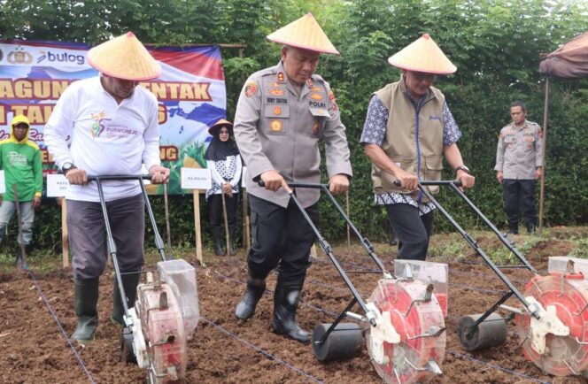 
					Perkuat Ketahanan Pangan, Polres Purworejo Tanam Jagung Serentak di Lahan 2 Hektar