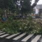 Pemkot Semarang melalui Disperkim tangani belasan pohon tumbang akibat cuaca ekstrem di berbagai titik kota untuk memulihkan akses jalan.